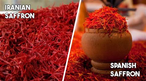safflower vs saffron|mexican saffron vs spanish saffron.